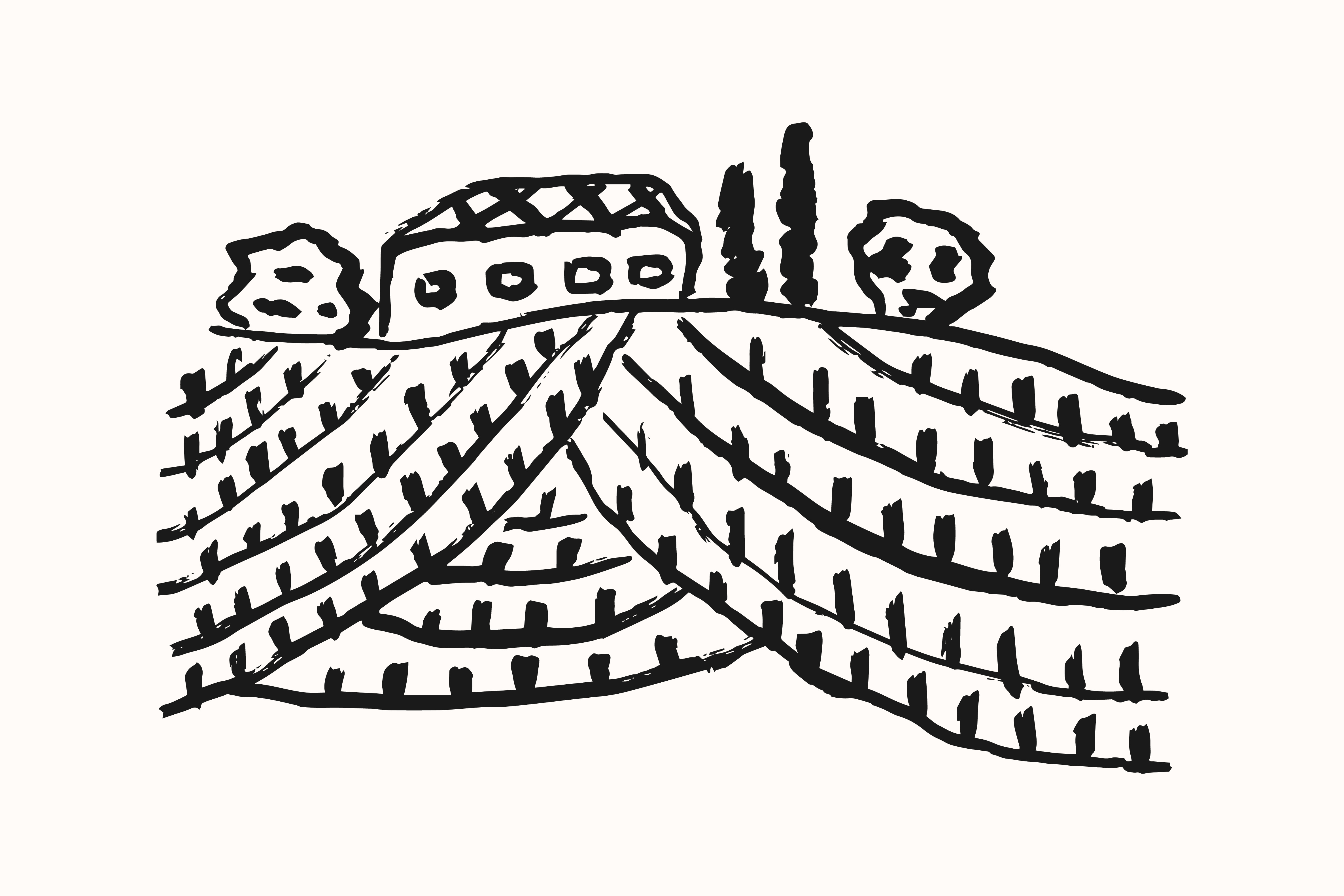 Wines & Vines Articles